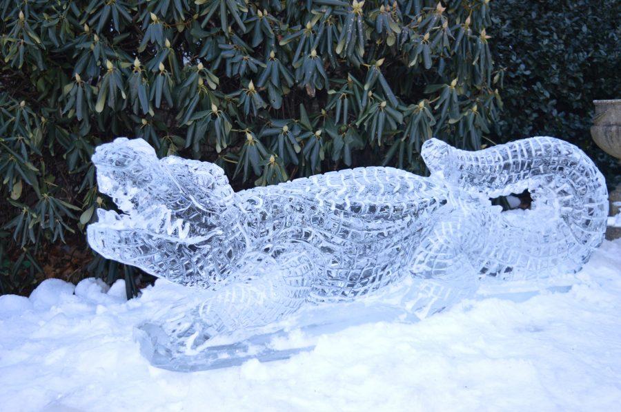 A+mysterious+kind+soul+left+a+marvelous+ice+sculpture+of+a+Gator+in+front+of+the+Lower+School+building.+Photo+by+Caroline+Ellervik+18.+