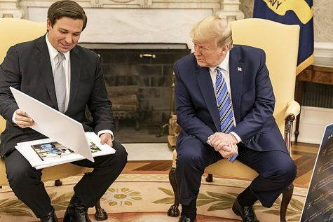Former President Donald Trump meets with Governor DeSantis in the White House. 