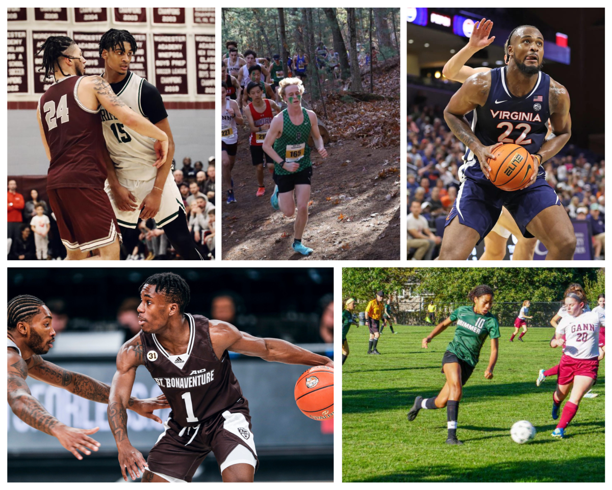 Where Are They Now? Alumni Athletes in the Spotlight