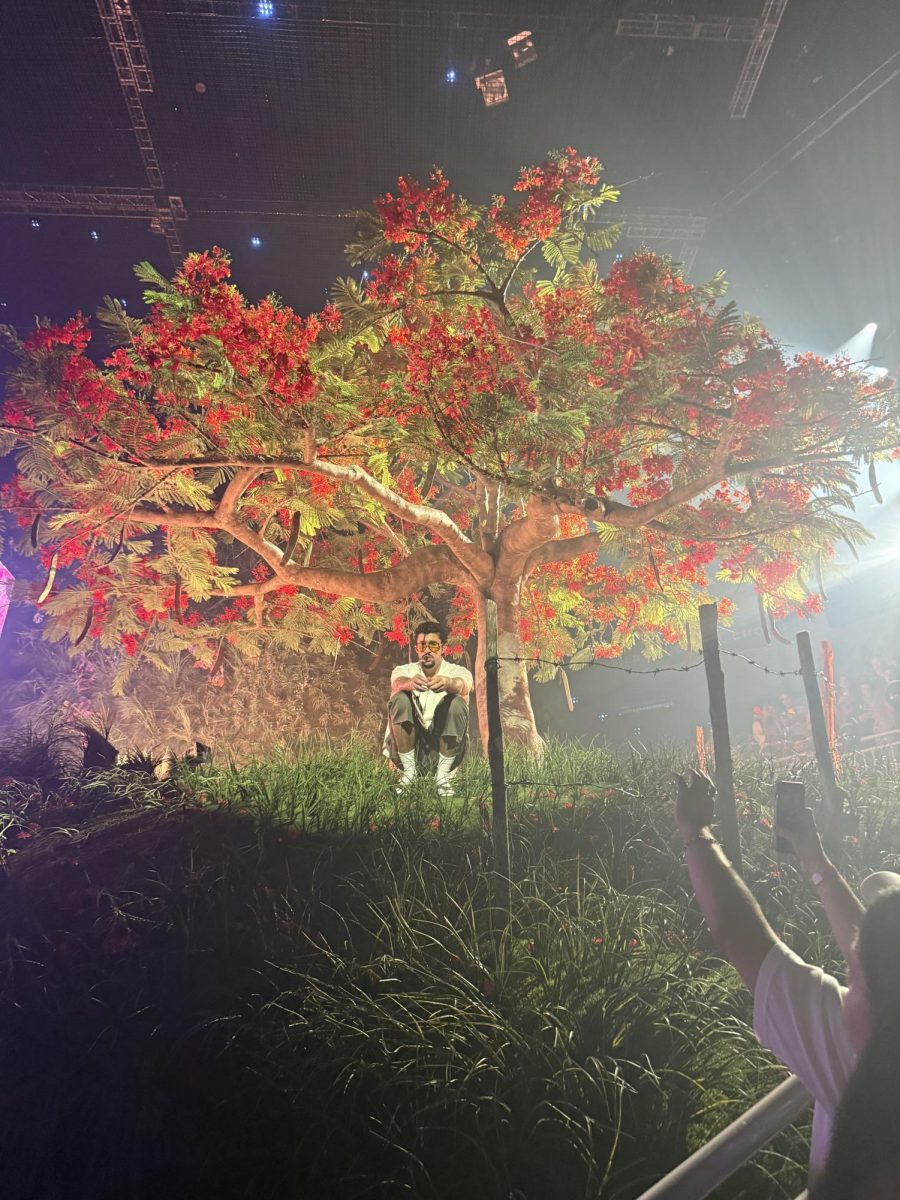 Bad Bunny performs under a Flamboyan tree in El Choliseo, in San Juan, Puerto Rico on August 9, 2025.  