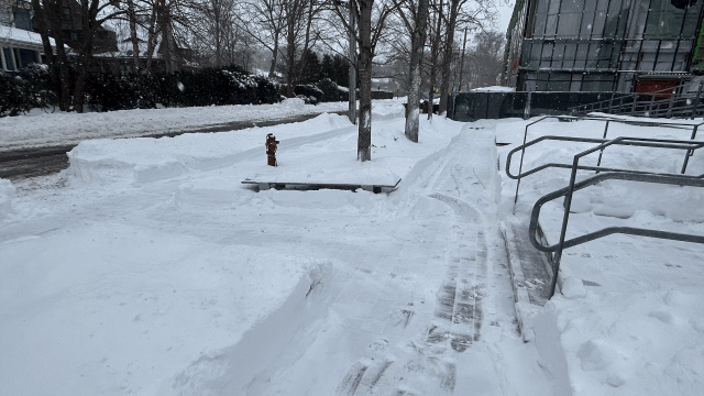 Maintenance spent most of Monday a doing their best to clear campus and make it safe for School to open.  