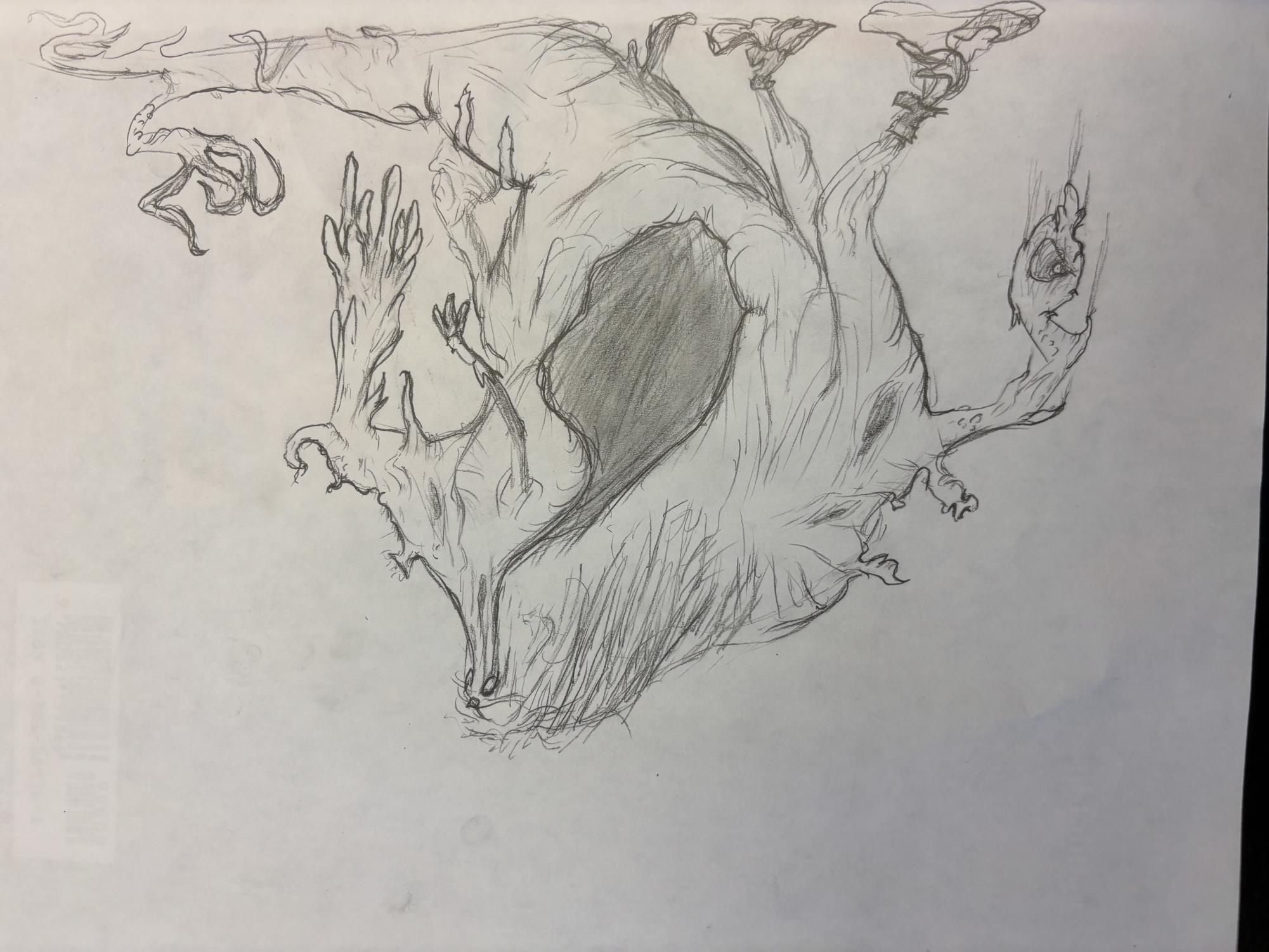 The 11th-grade student turned years of artistic dedication into a business while working on a self-written, illustrated book.